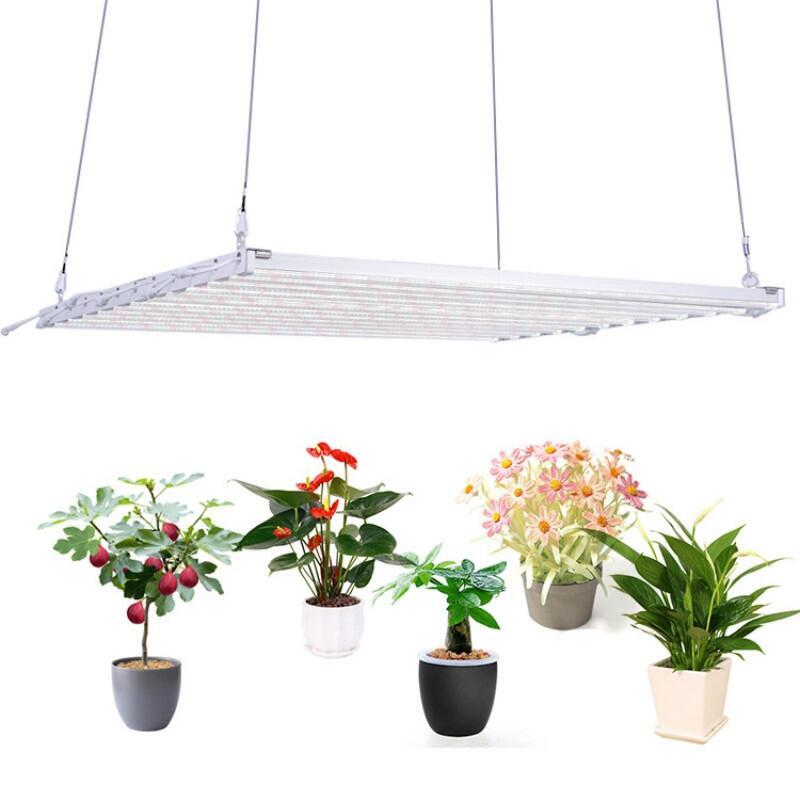 深圳植物燈廠家供應(yīng)600W八爪魚補光燈  八爪魚植物燈 八爪魚植物生長燈