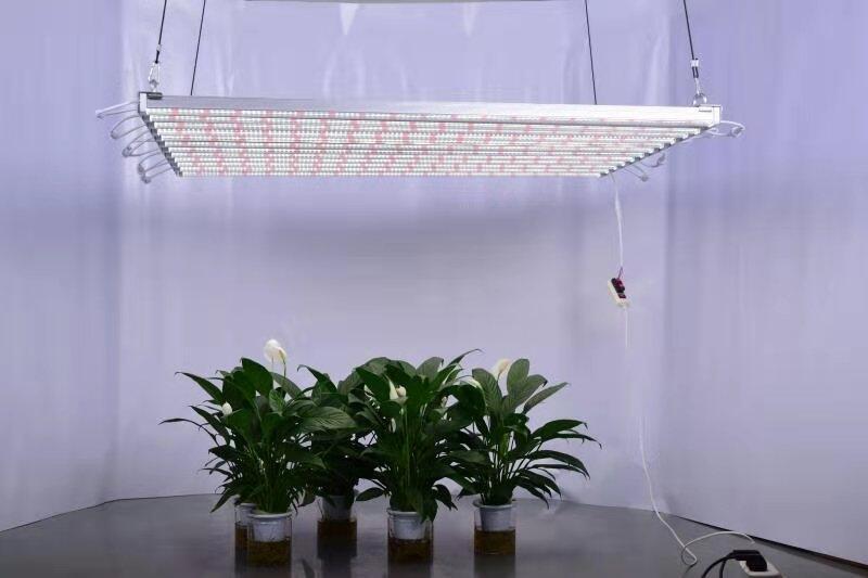 深圳植物生長燈廠家供應(yīng)300W八爪魚植物補光燈 美國工業(yè)植物種植補光燈 