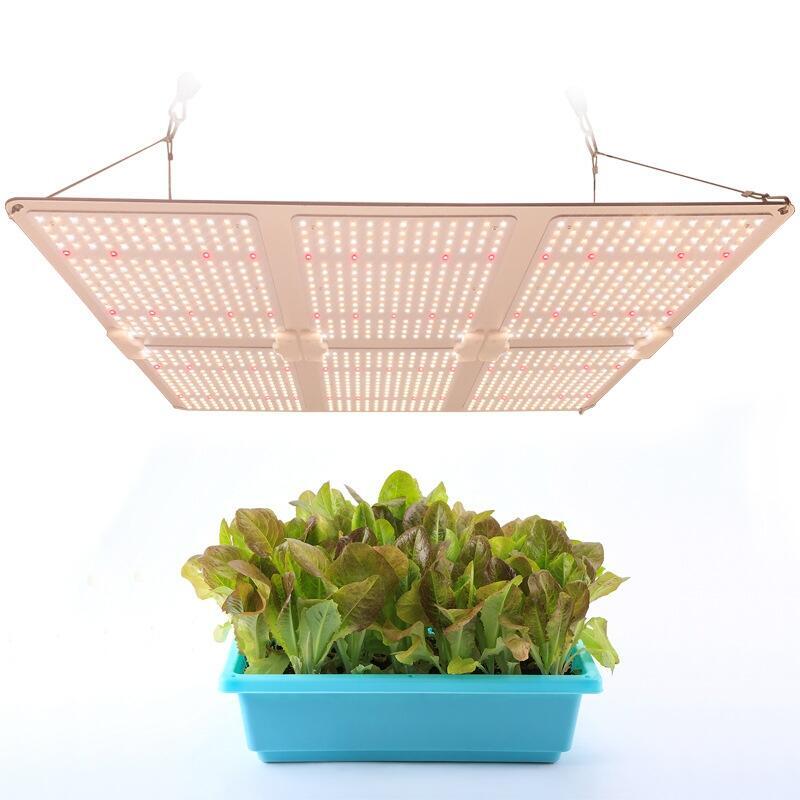 植物工廠麻藥種植燈 600W量子板植物生長(zhǎng)燈 三星301B芯片明緯電源 量子板藍(lán)莓補(bǔ)光燈