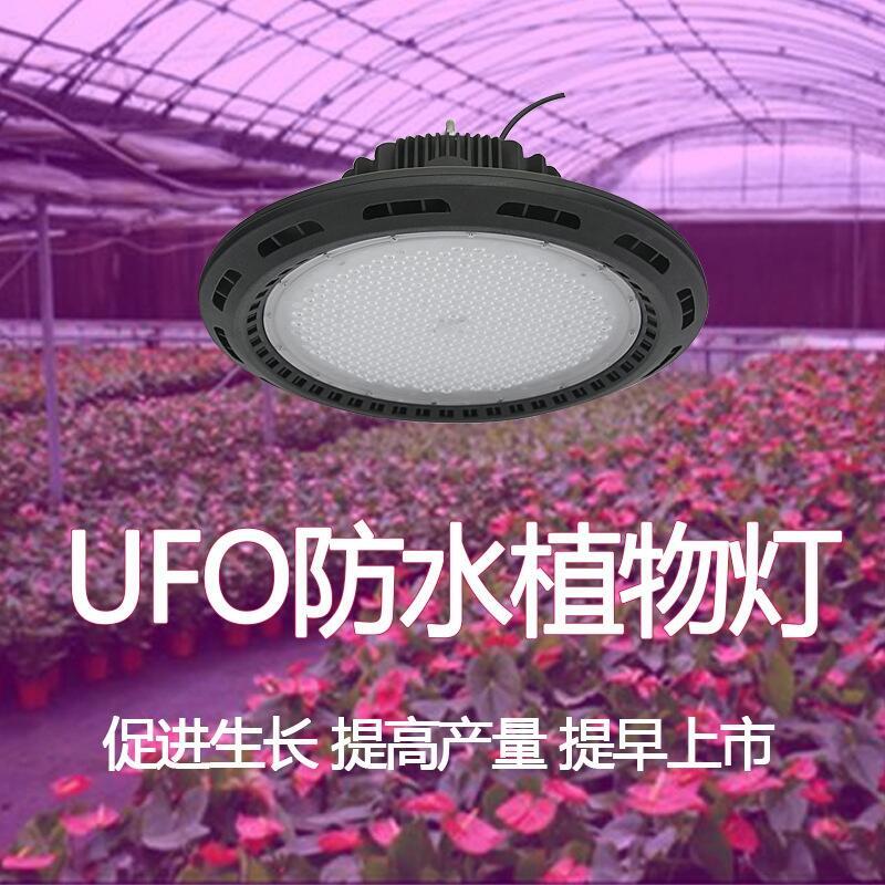 深圳植物燈廠家直銷UFO植物生長燈 200wUFO補光燈 藍莓補光燈 蘭花補光燈