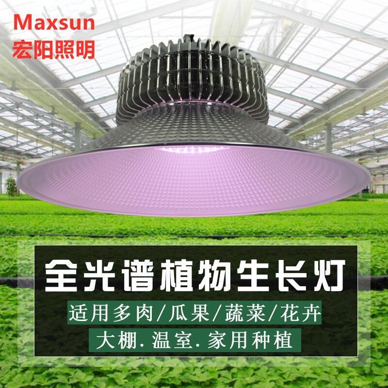 150W植物照明工礦燈 全光譜led植物生長補光燈 西紅柿生長燈 藍莓生長燈
