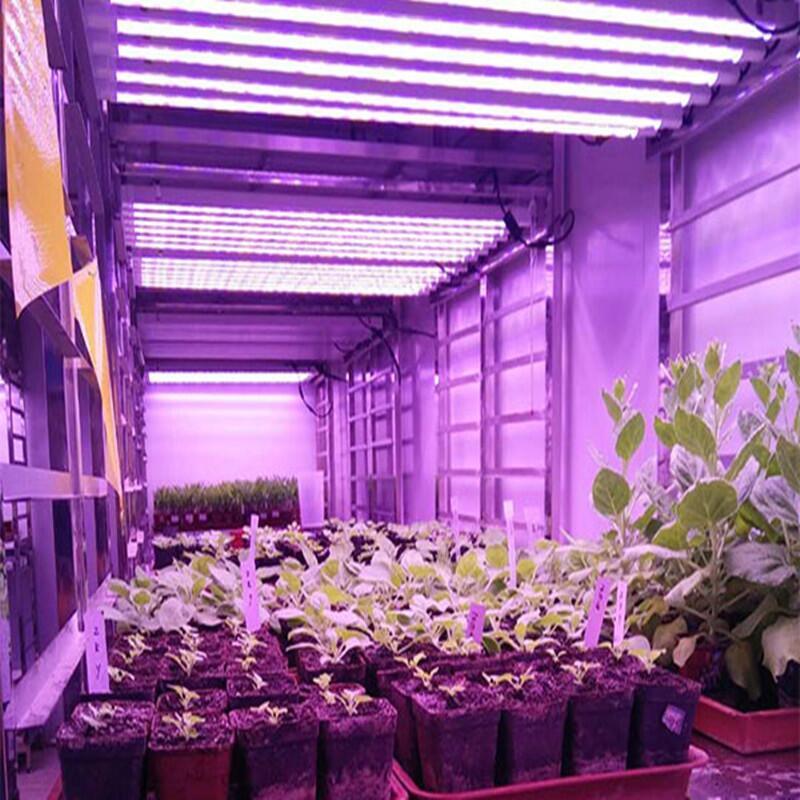 宏陽照明植物燈廠家定制1.2米36W雙排防水植物燈管 大棚植物生長燈 西紅柿生長燈管