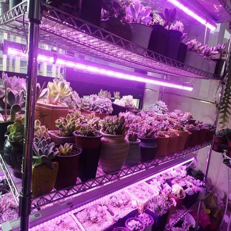 植物生長燈廠家供應(yīng)0.9米24W植物生長燈管 草莓生長燈 藍(lán)莓生長燈 多肉生長燈