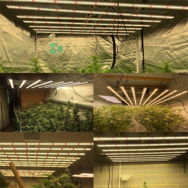深圳LED植物燈廠家那家有做這款八爪魚植物燈？