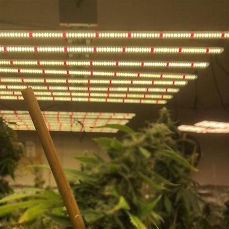 深圳植物補光燈哪家好？