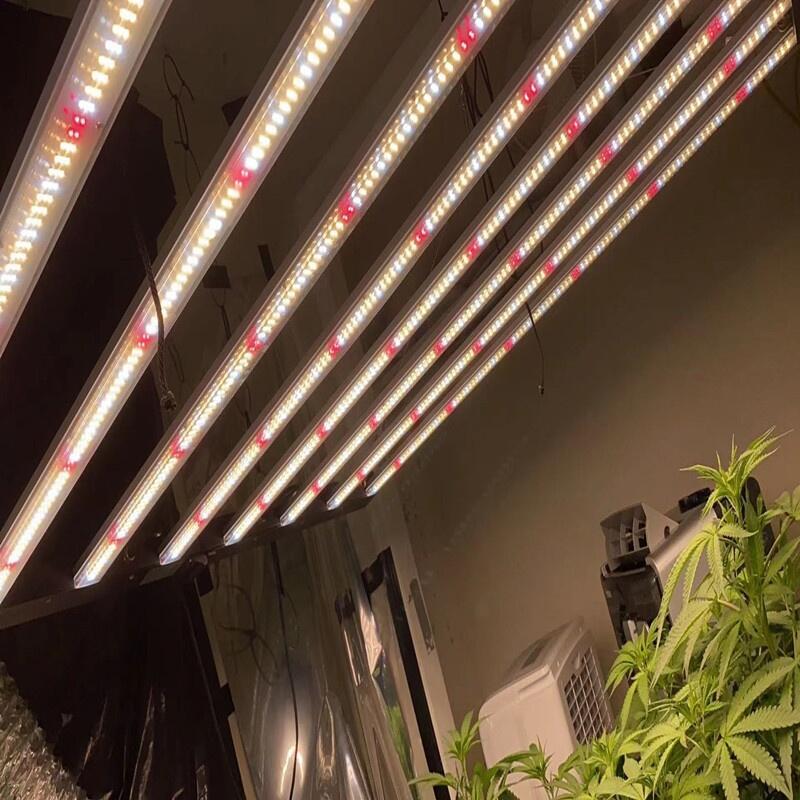 植物燈那家做的質(zhì)量比較靠譜的？