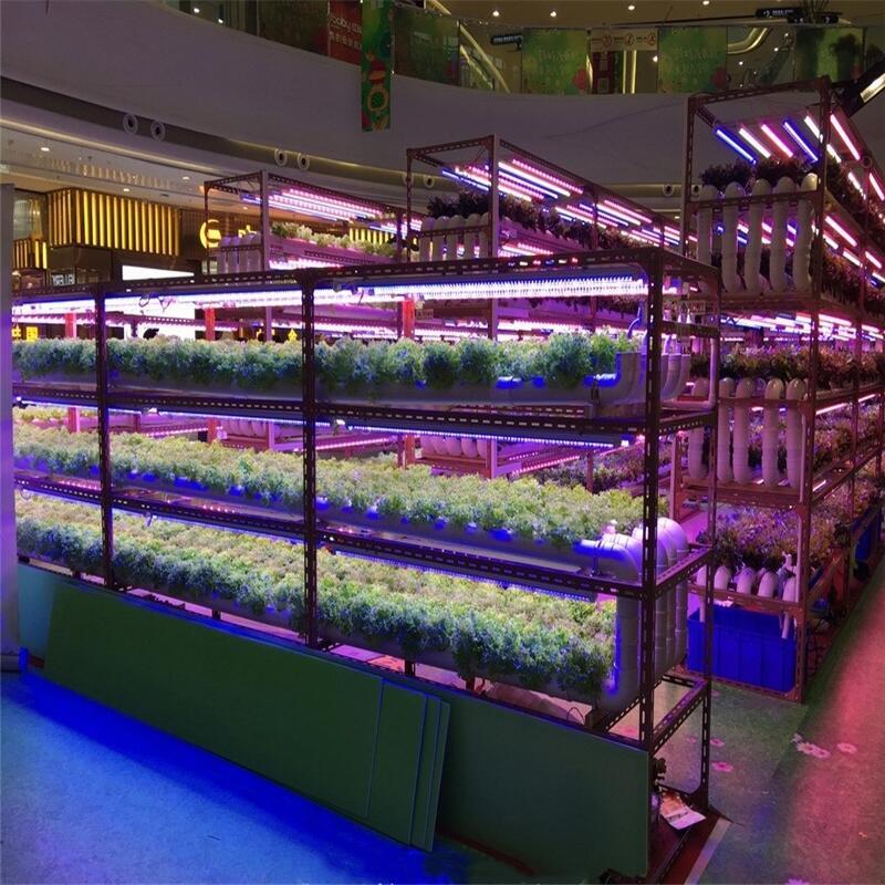 led植物生長(zhǎng)燈多少錢？深圳宏陽(yáng)照明專業(yè)生產(chǎn)和銷售植物燈廠家