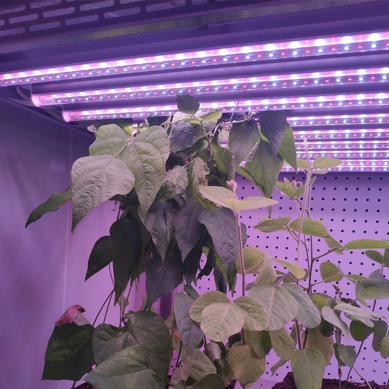 深圳led植物生長燈價格 組培l(xiāng)ed植物燈，種植植物led燈