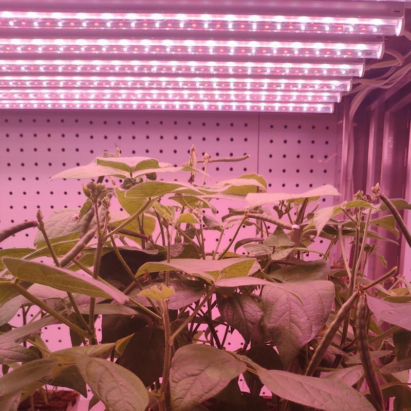 壽光led植物生長(zhǎng)燈 全光譜led植物生長(zhǎng)燈價(jià)格 植物生長(zhǎng)燈多少錢？