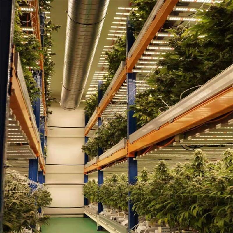 深圳八爪魚(yú)植物燈廠家直銷(xiāo)美國(guó)工業(yè)麻藥種植燈 美國(guó)工業(yè)麻藥補(bǔ)光燈