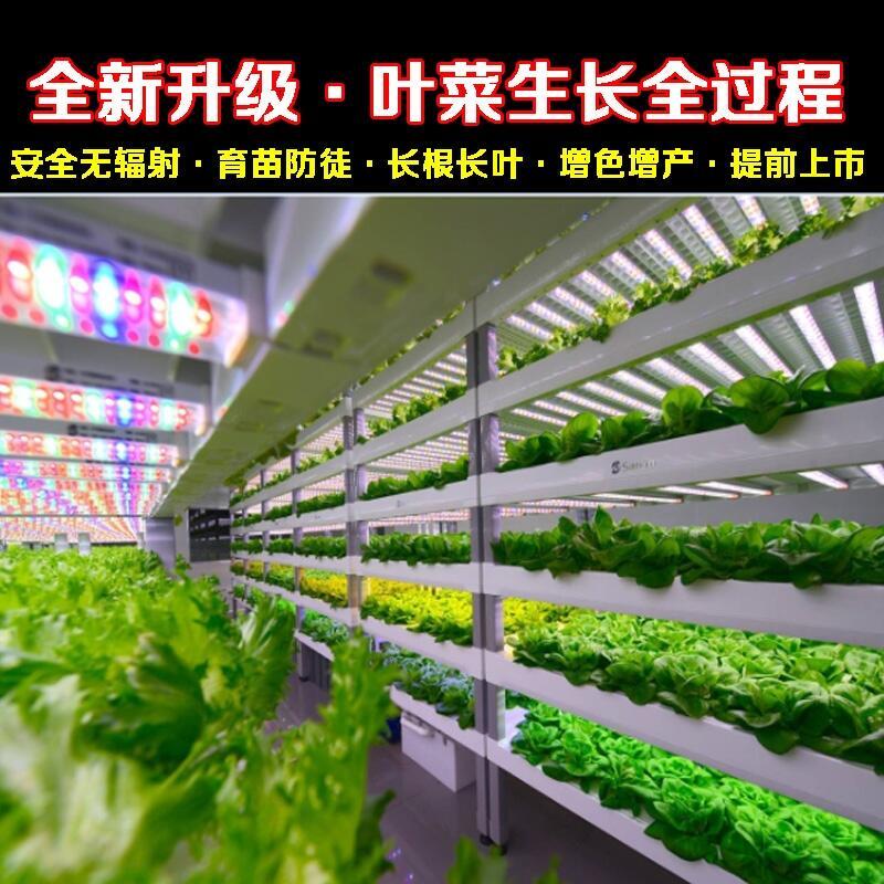 無(wú)錫LED植物燈哪個(gè)牌子好？深圳宏陽(yáng)照明專(zhuān)業(yè)生產(chǎn)1.2米LED植物燈管 水培LED植物燈管