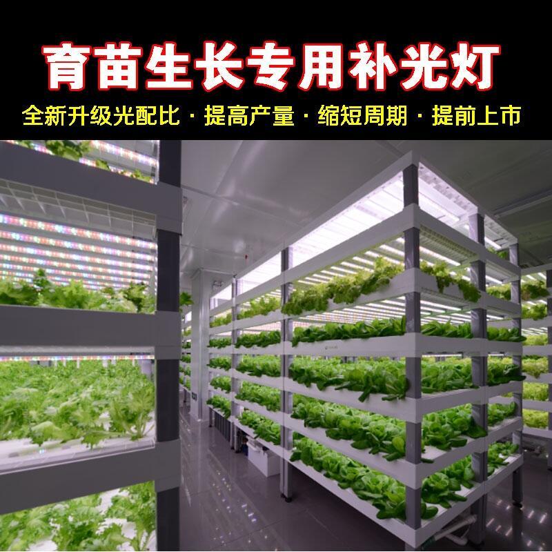 江蘇植物燈廠家供應(yīng)大棚溫室生長燈管 蔬菜生長燈 大棚補光燈 大棚生長燈 植物照明燈