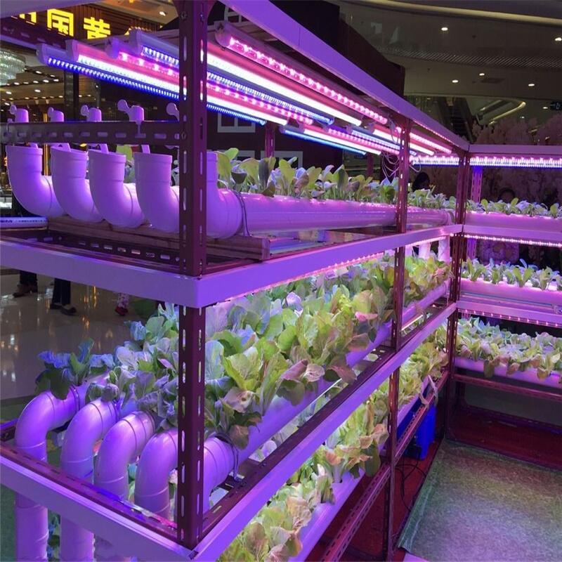 南京哪里有LED植物燈賣(mài)？深圳宏陽(yáng)照明專(zhuān)業(yè)生產(chǎn)LED植物燈 溫室LED植物燈