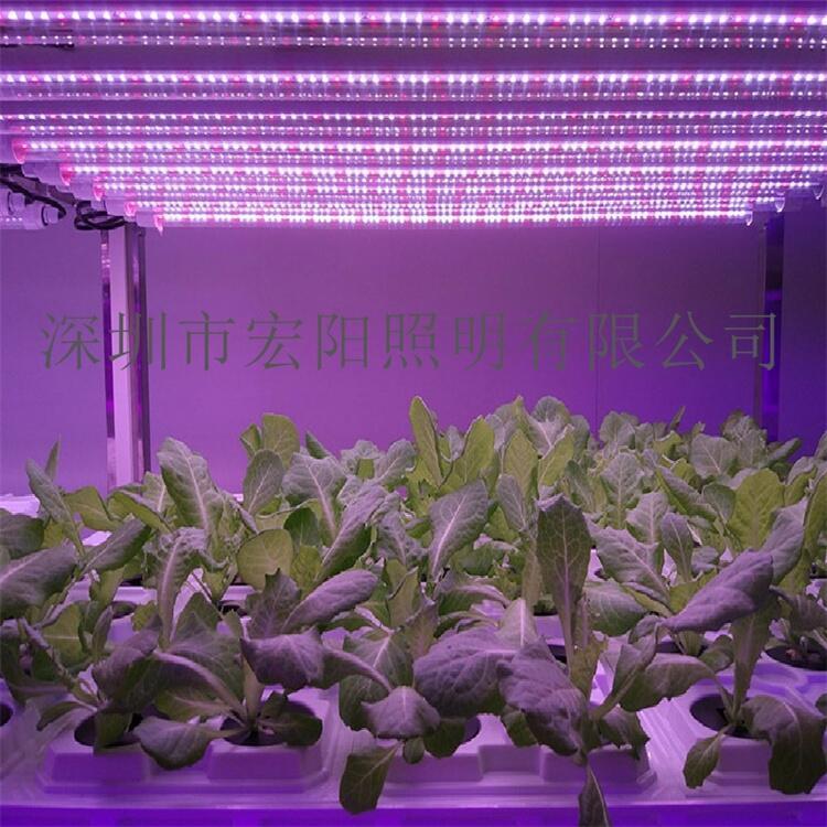 植物生長燈廠家供應0.6米9W防水植物燈管 T8分體植物燈管 led植物生長燈管