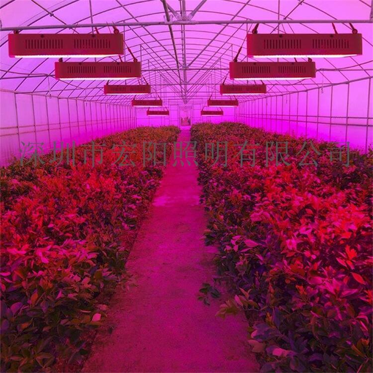 東營(yíng)LED植物燈工廠	東營(yíng)LED植物燈廠	東營(yíng)LED植物燈廠家