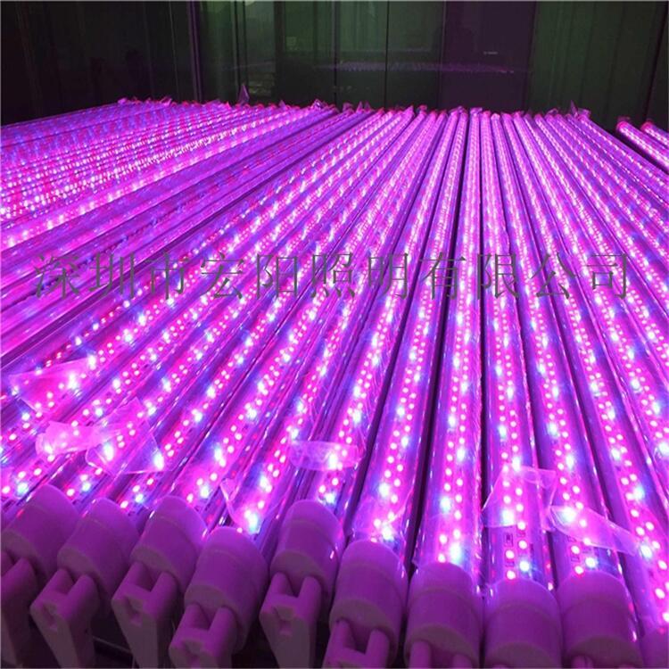 植物補光燈哪個品牌好？2.4米防水植物補光燈管 T8全光譜植物燈管
