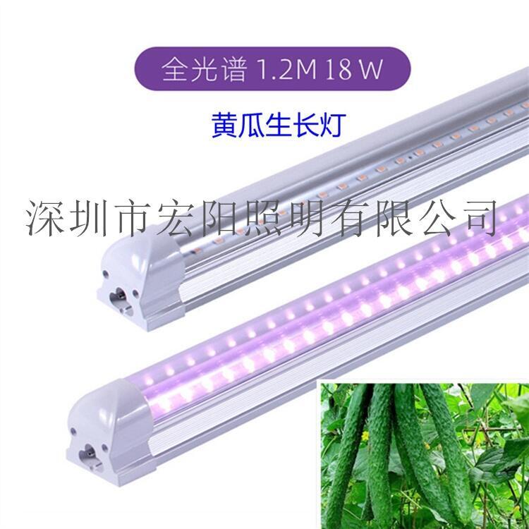 廣州植物生長(zhǎng)燈管 深圳植物燈管 惠州LED植物燈
