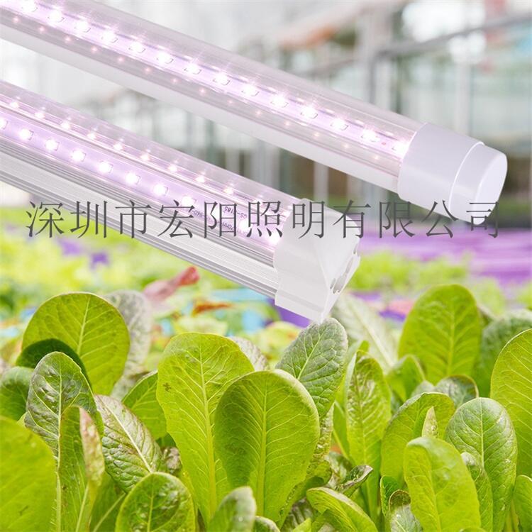 植物燈廠家批發(fā)大棚溫室生長(zhǎng)燈管 蔬菜生長(zhǎng)燈管 大棚植物補(bǔ)光燈管 