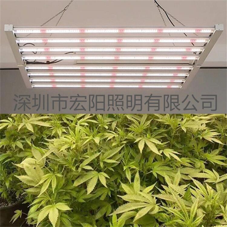 深圳植物燈廠家供應(yīng)800W八爪魚植物燈