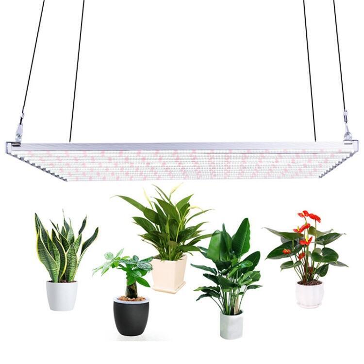 光明植物燈廠家直銷出口西班牙植物工廠燈 工業(yè)麻藥種植燈 