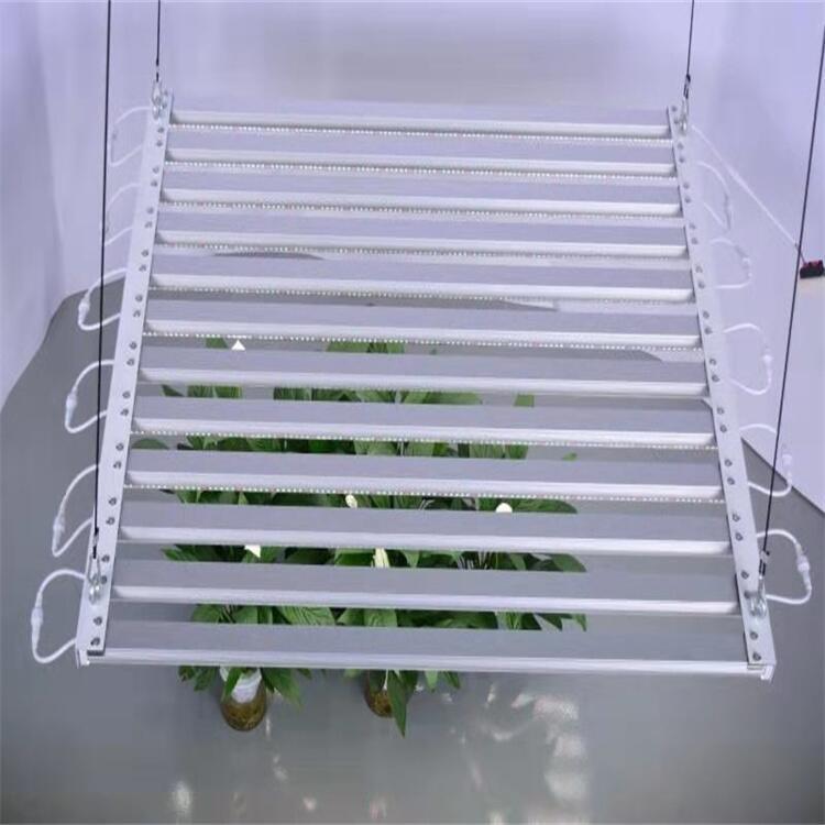 中山植物燈廠家供應(yīng)led植物生長(zhǎng)燈 三星281b植物補(bǔ)光燈