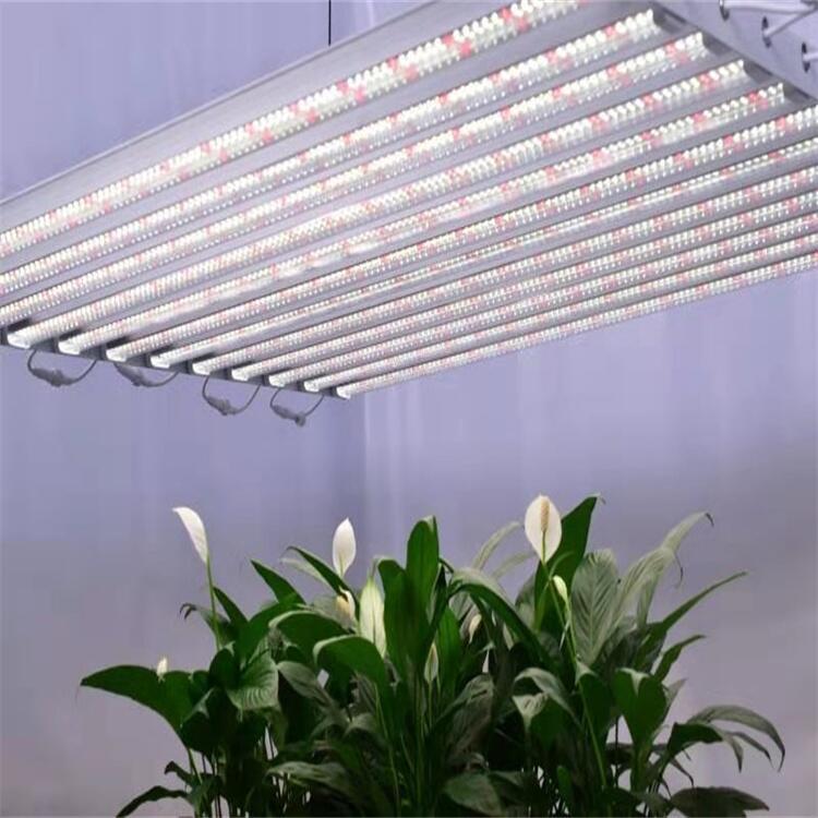深圳石巖植物燈廠家批發(fā)美國(guó)大棚補(bǔ)光燈 明緯電源調(diào)光植物燈
