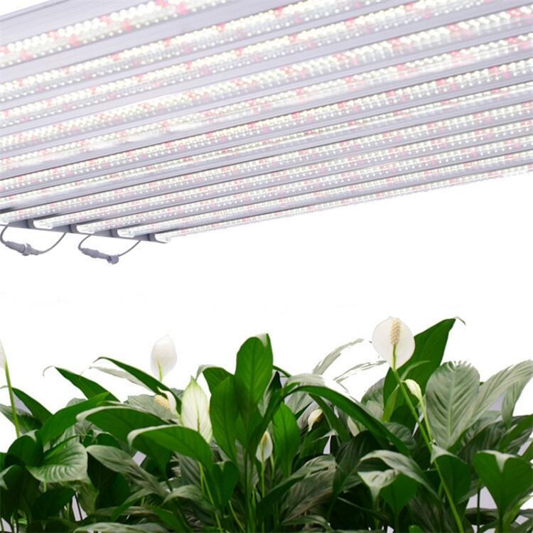 深圳植物燈工廠直銷出口美國(guó)八爪魚植物燈 工業(yè)麻藥補(bǔ)光燈 