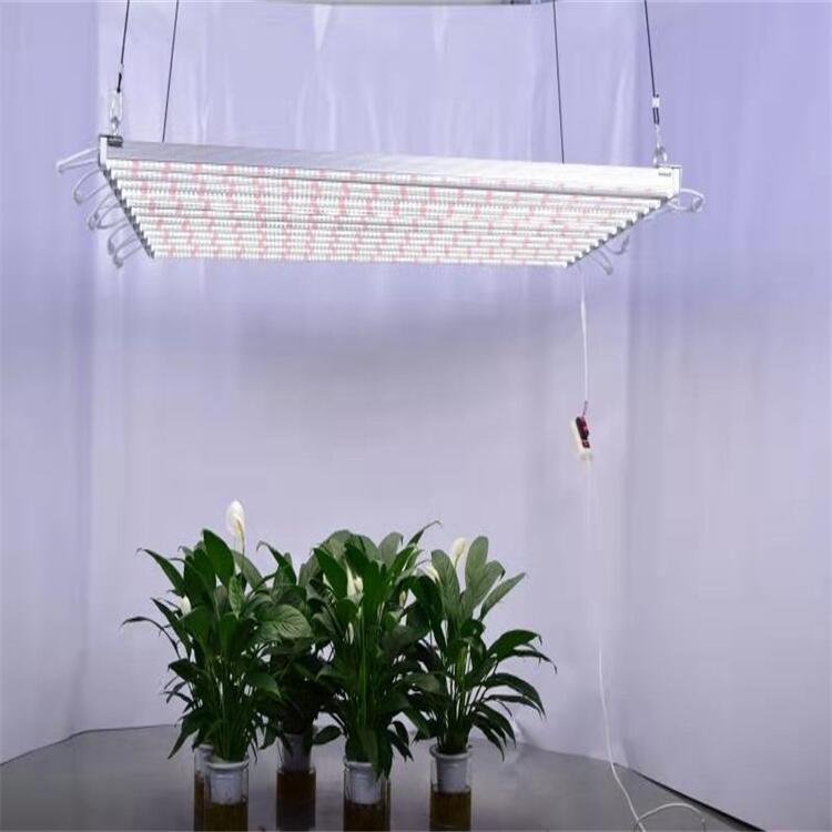 東莞植物燈廠家供應(yīng)八爪魚植物生長(zhǎng)燈 三安燈珠led植物燈