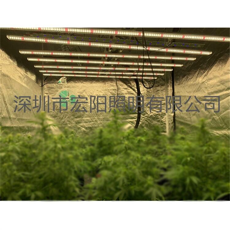 led植物照明公司定制600W八爪魚(yú)植物燈 大棚植物補(bǔ)光燈