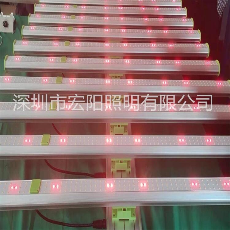 led植物生長燈 800W麻藥補光燈 led八爪魚植物燈