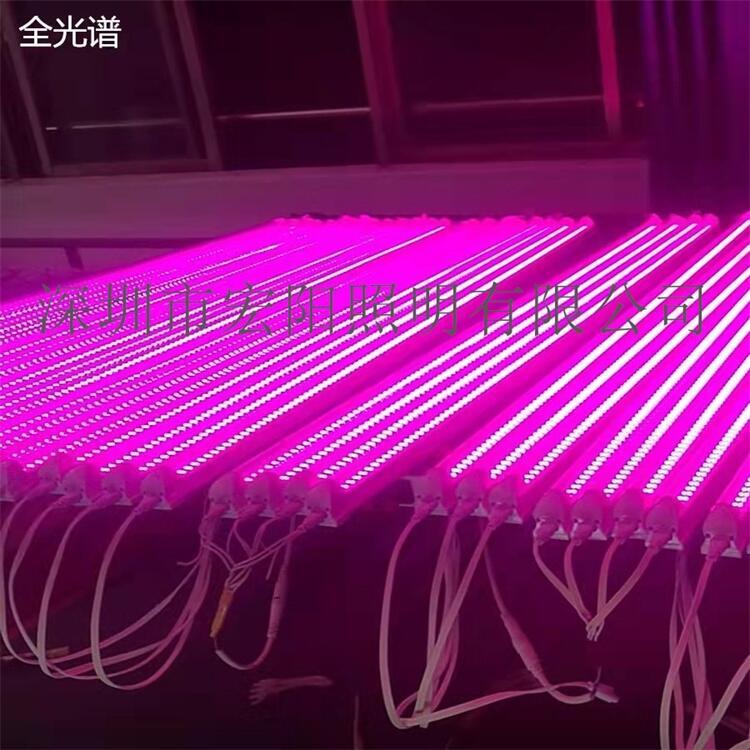 湖北LED植物燈生產(chǎn)廠	湖北LED植物燈生產(chǎn)廠家	湖北LED植物燈制造廠